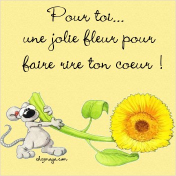 une fleur