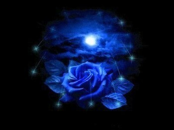 rose bleu