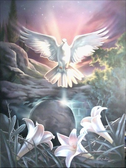 colombe