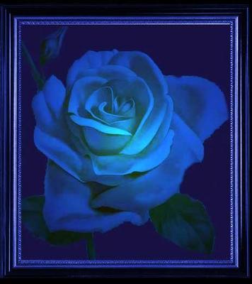 rose bleu