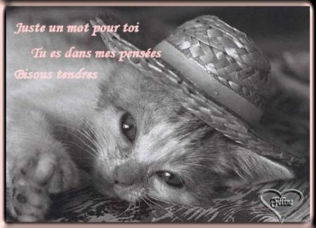 une pensée