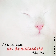 joyeux anniversaire