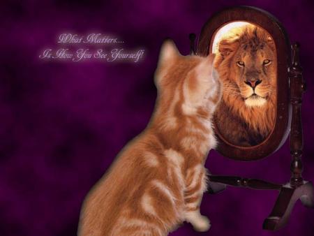 lion ou chat ?