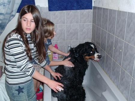 marie, filou et moi