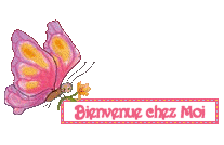 bienvenue sur mon blog